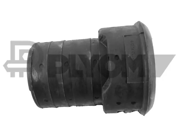 Bushing, axle beam (P759758)
