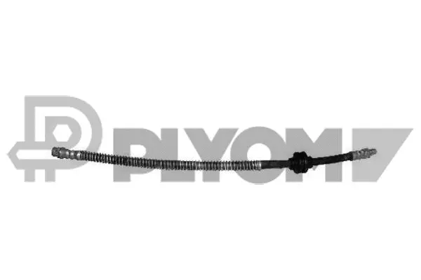 Brake Hose (P021189)