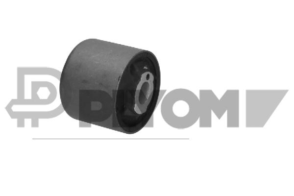 Mounting, control/trailing arm (P201005)
