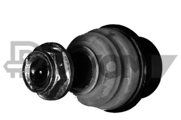 Ball Joint (P755011)