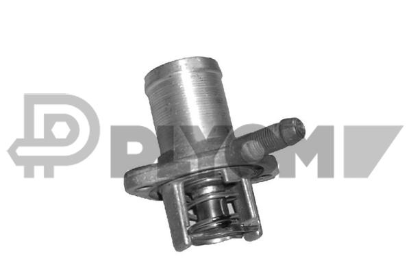 Thermostat, coolant (P021114)