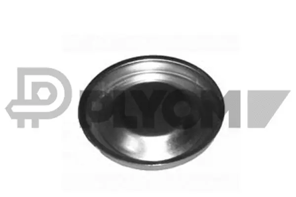 Protection Lid, wheel hub (P951014)