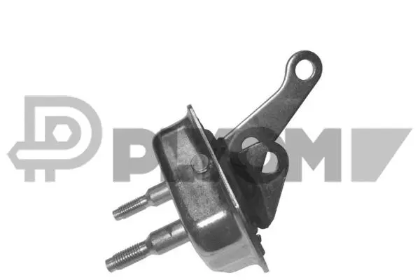 Bushing, axle beam (P030432)