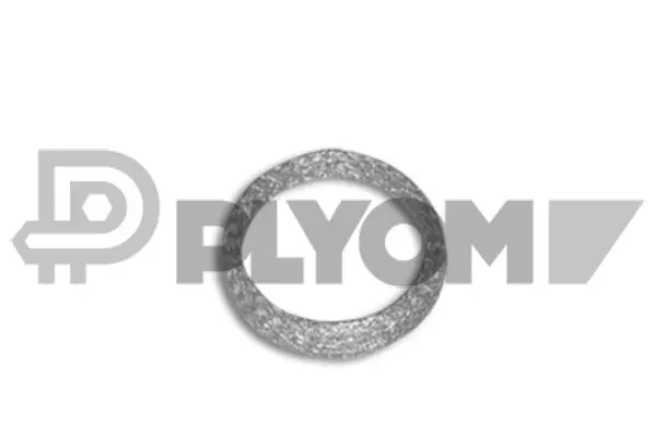 Gasket, exhaust pipe (P954218)