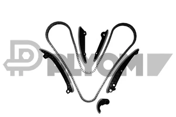 Timing Chain Kit (P752101)