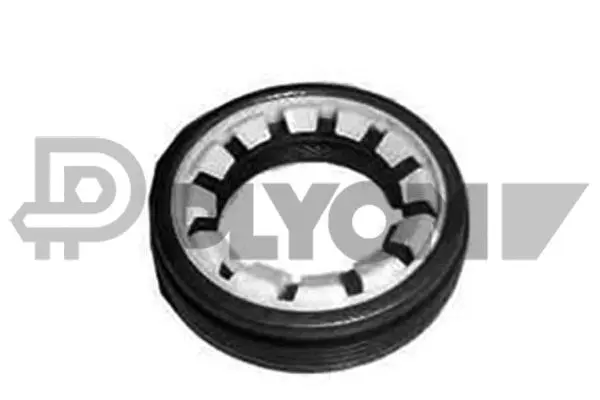 Shaft Seal, differential (P030901)