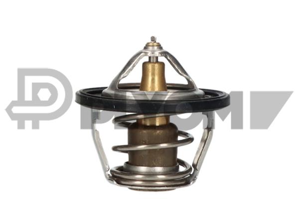 Thermostat, coolant (P756906)