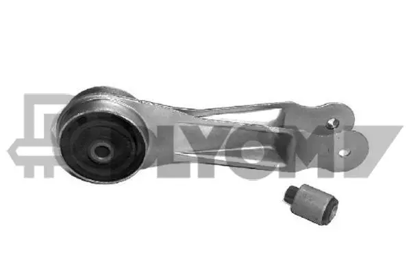 Mounting, engine (P021397)