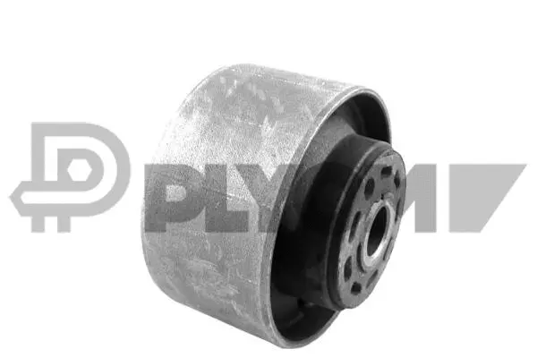 Bushing, axle beam (P759470)