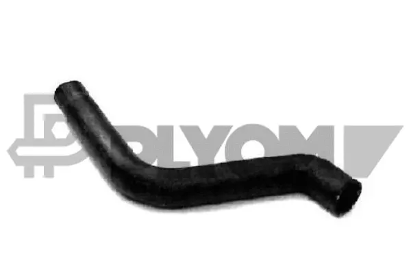 Radiator Hose (P016299)