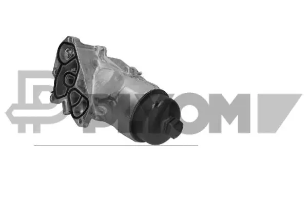 Oil Cooler, engine oil (P751713)