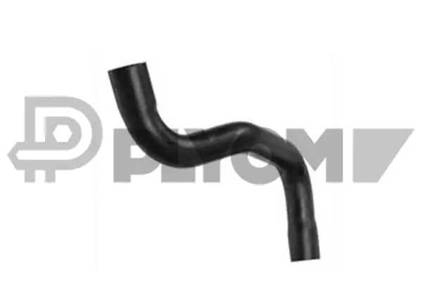 Radiator Hose (P026499)