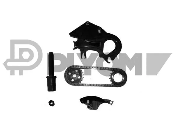 Timing Chain Kit (P752102)