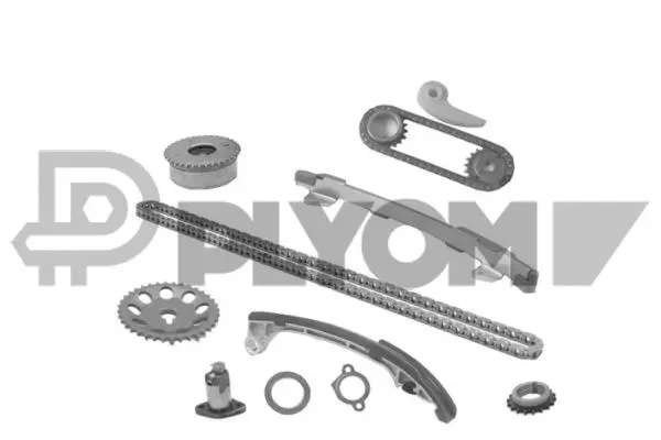 Timing Chain Kit (P769706)