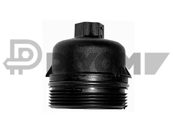 Cap, oil filter housing (P031521)
