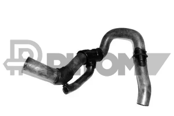 Radiator Hose (P026859)