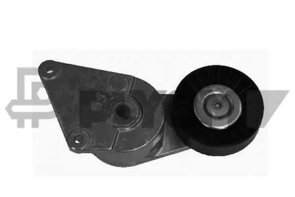 Belt Tensioner, V-ribbed belt (P030972)