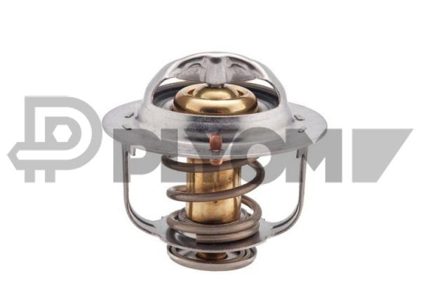 Thermostat, coolant (P756892)