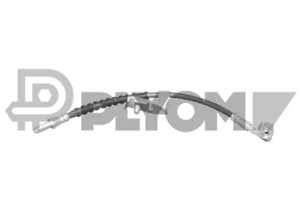 Brake Hose (P080014)