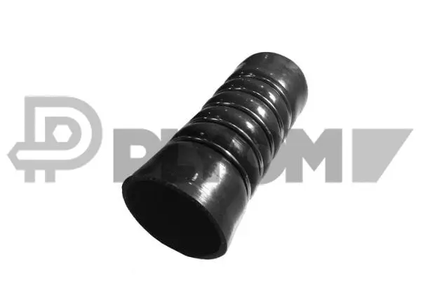 Charge Air Hose (P752980)