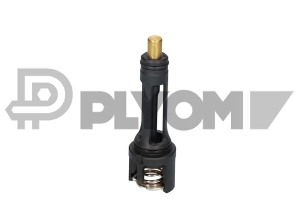 Thermostat, coolant (P766826)