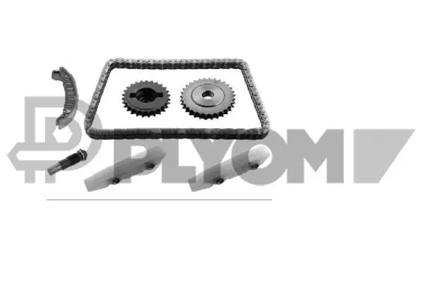 Timing Chain Kit (P771447)