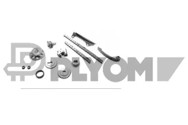 Timing Chain Kit (P774682)