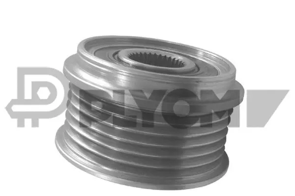 Alternator Freewheel Clutch (P010963)