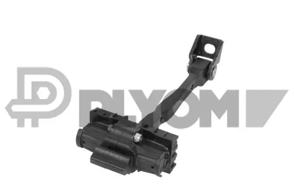 Door Check (P774451)