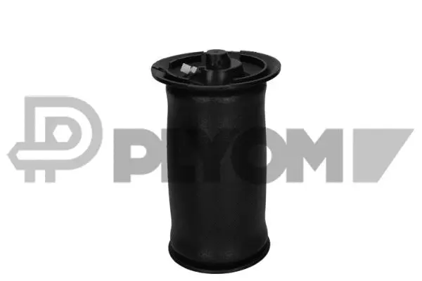 Air Spring, suspension (P753065)