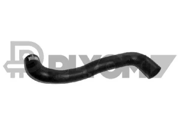 Radiator Hose (P026510)