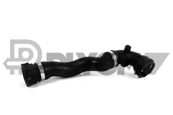 Radiator Hose (P206038)