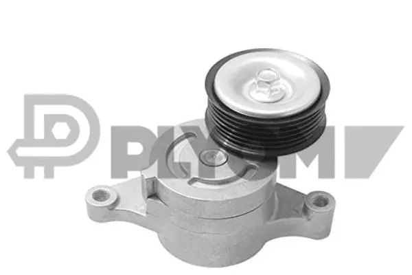 Tensioner Lever, V-ribbed belt (P751895)