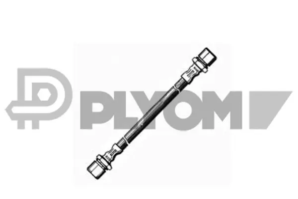 Brake Hose (P480003)