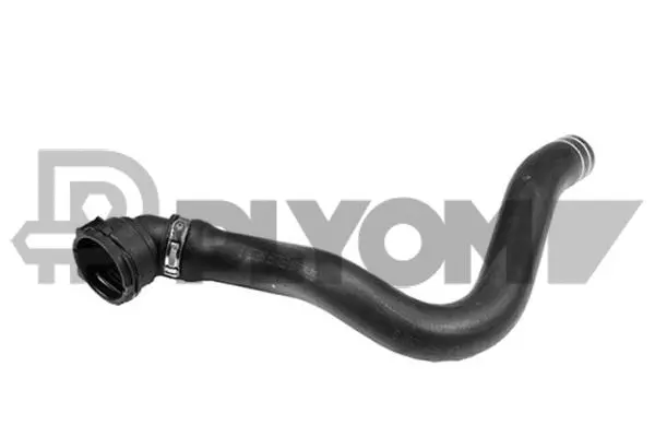 Radiator Hose (P753372)