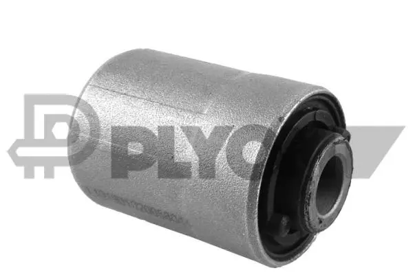 Bushing, axle beam (P759484)