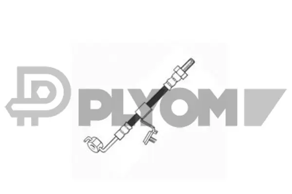 Brake Hose (P080016)