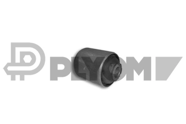 Mounting, control/trailing arm (P250006)