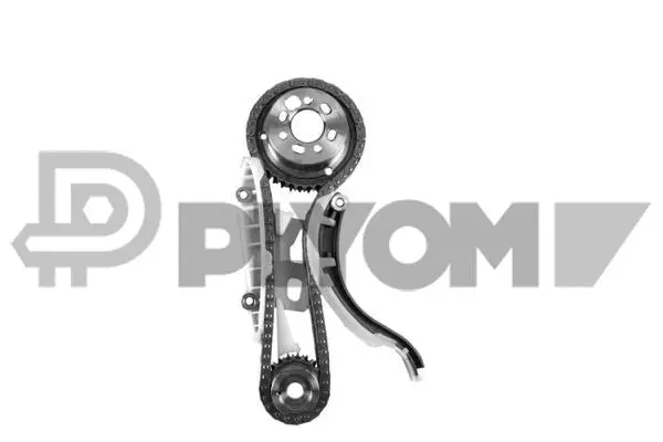 Timing Chain Kit (P752109)