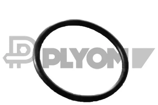 Gasket, coolant pipe (P758563)