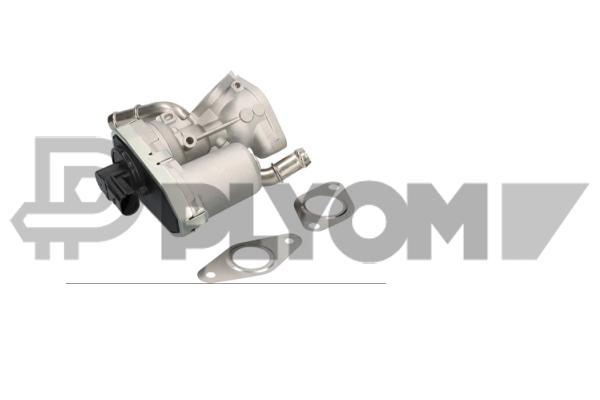 EGR valve, exhaust control (P960009)