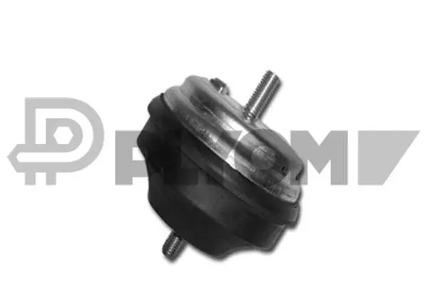 Mounting, engine (P480499)