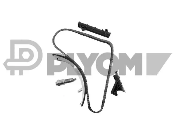 Timing Chain Kit (P752050)