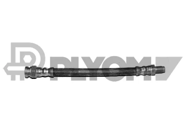 Brake Hose (P010021)