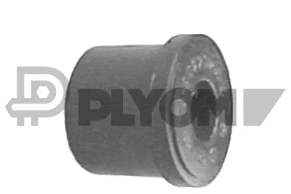 Bushing, leaf spring (P766673)