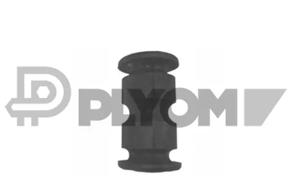 Bushing, leaf spring (P020899)