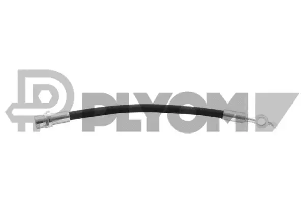 Brake Hose (P756548)