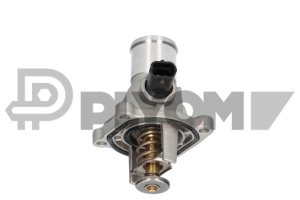 Thermostat, coolant (P756861)