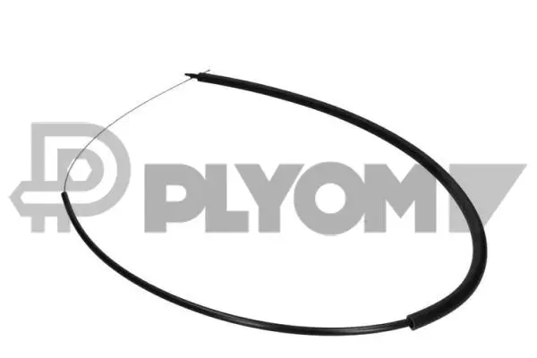 Accelerator Cable (P028088)