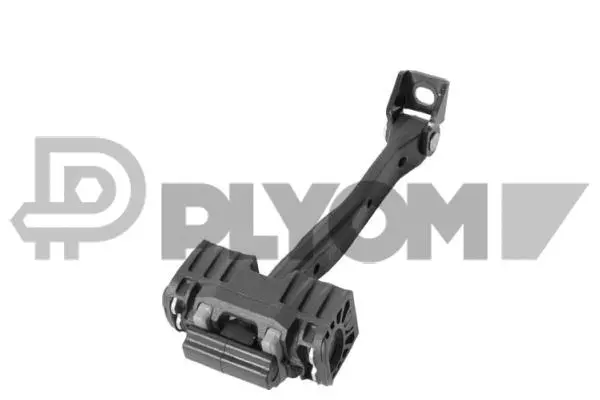 Door Check (P774424)